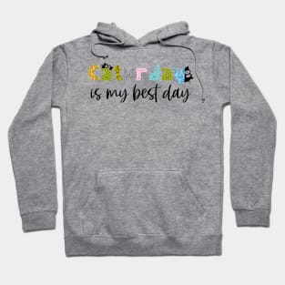 Caturday is my best day, caturdays are the best, cat pun Hoodie